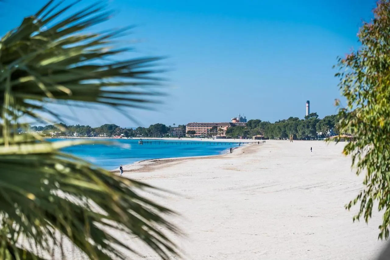 Carabela 51 Apartment Port de Alcudia  Port de Alcudia (Mallorca)